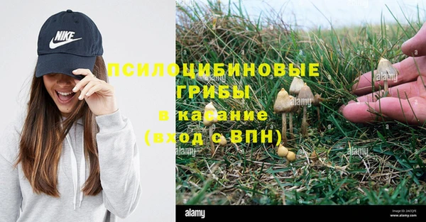 наркотики Зеленокумск