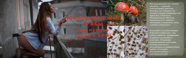 прущие крисы Зерноград