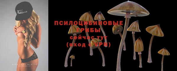 наркотики Зеленокумск