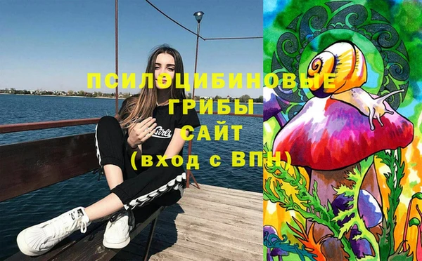 прущие крисы Зерноград