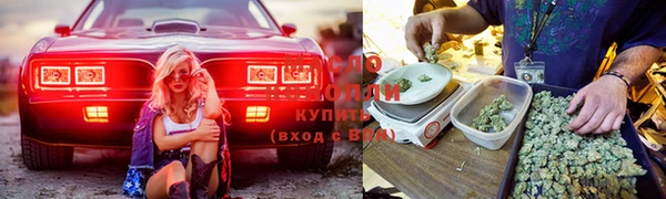 прущие крисы Зерноград