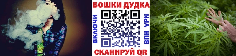 Купить закладки  Далматово  МАРИХУАНА SATIVA & INDICA 